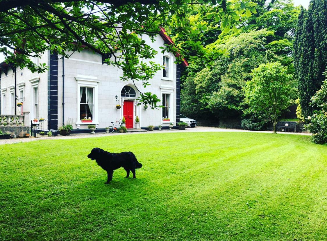 Villa Fountain Hill House Londonderry Exterior foto